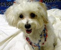 Molly July 10.jpg